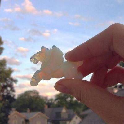 米兰·体育全站APP下载-米兰